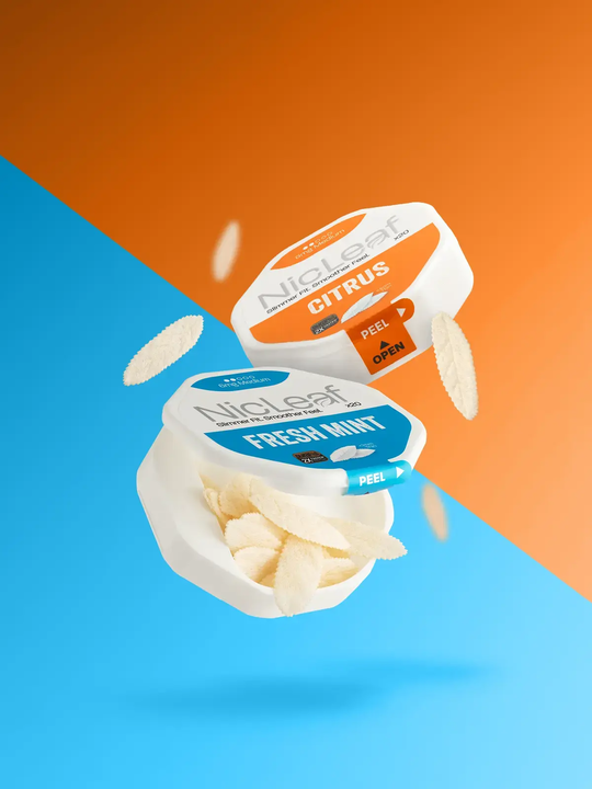 An open pack of NicLeaf Fresh Mint with the pouches spilling out, and a pack of Citrus NicLeaf pouches floating side by side on a stylised blue and orange background